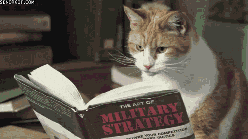 CAT READ GIF